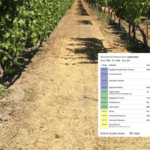 Vineyard Soil Analysis