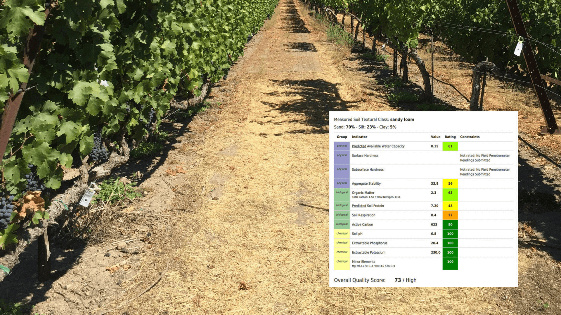 Vineyard Soil Analysis